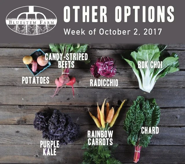 10.2.17 -OTHER.jpg