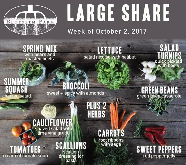 Summer Vegetable Shares: Week 17