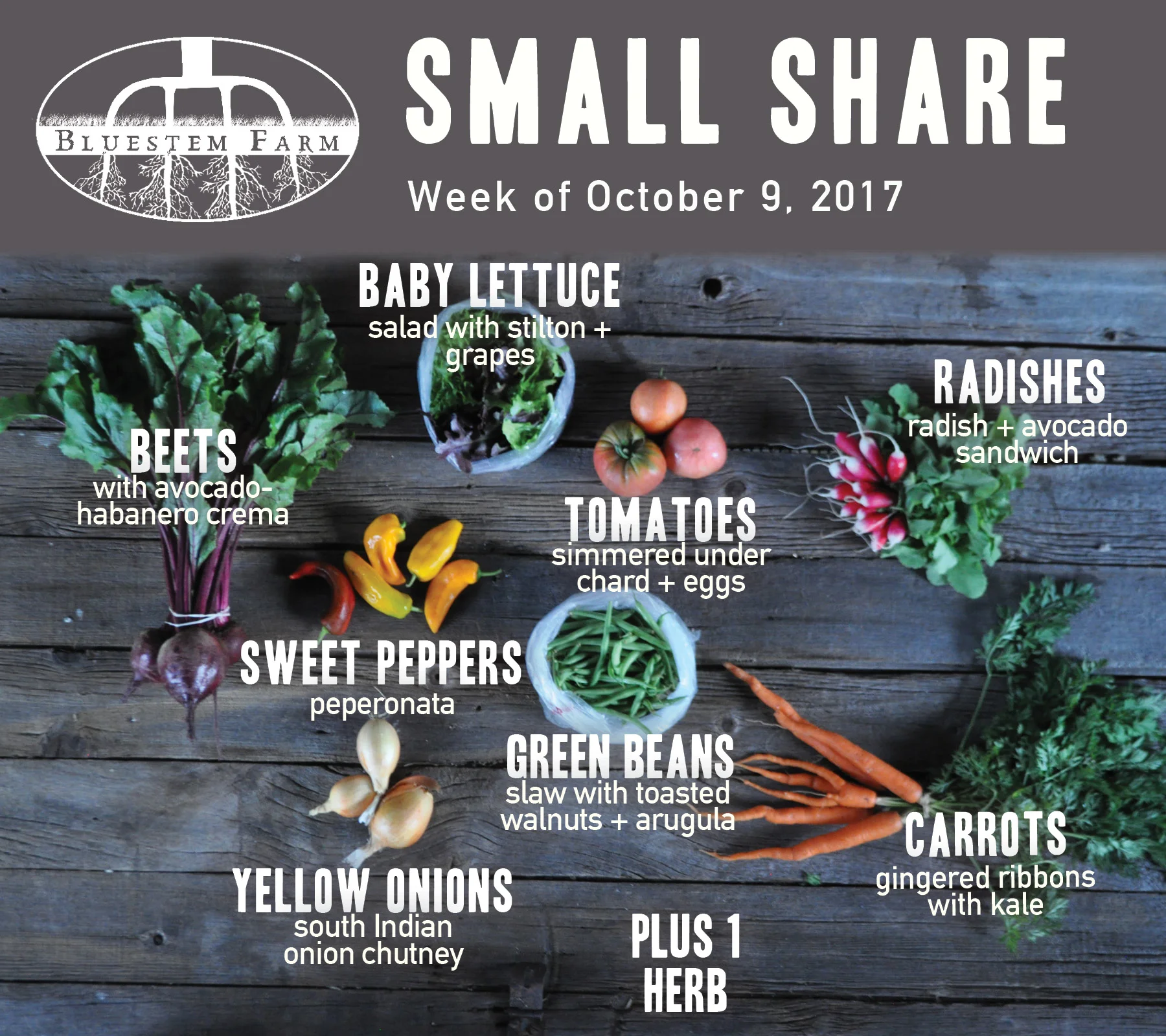 Summer Vegetable Shares: Week 18 