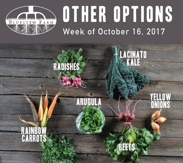 10.16.17 -OTHER.jpg