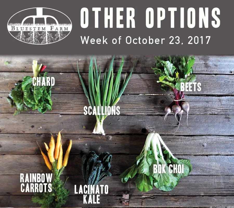 Summer Vegetable Shares: Week 20