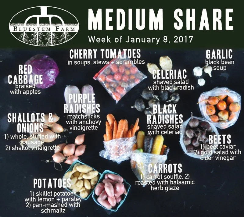 1.8.18 -MED.jpg