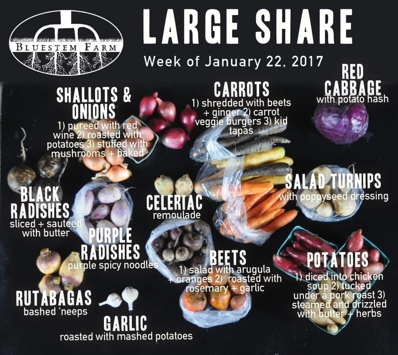 Winter Vegetable Shares: Late January