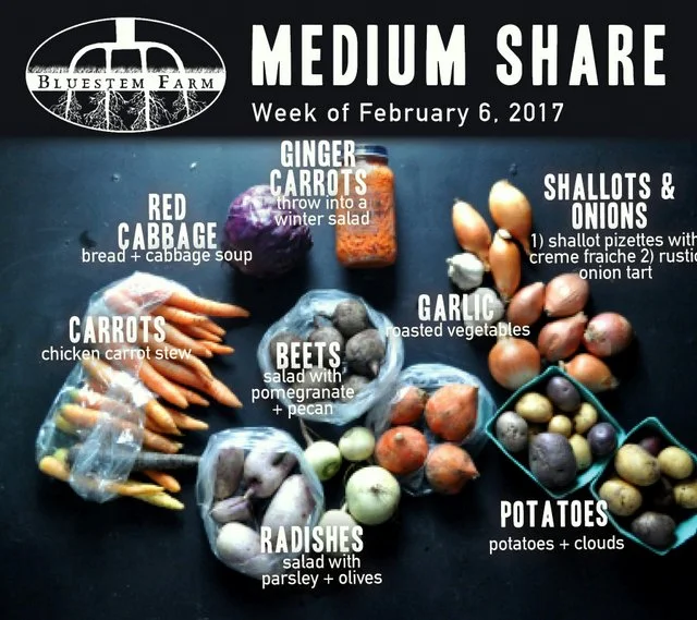 Winter Vegetable Shares: Early February
