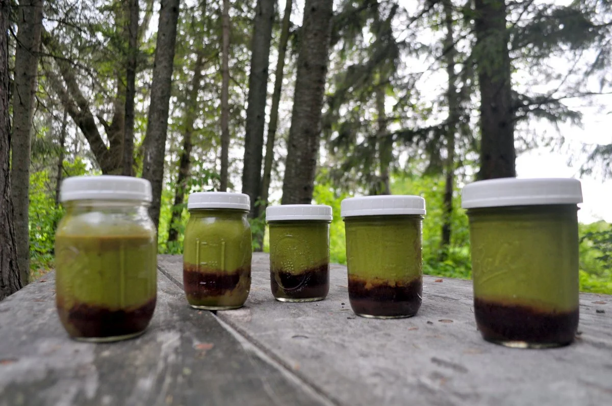 A Batch of Green Smoothies