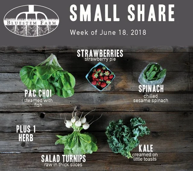 Summer Vegetable Shares: Week 1