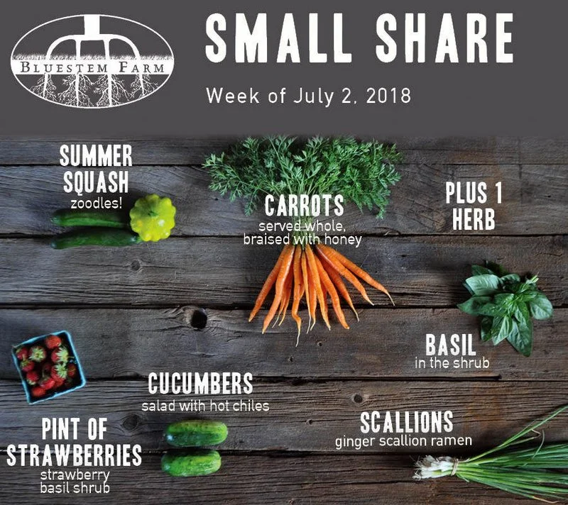 Summer Vegetable Shares: Week 3