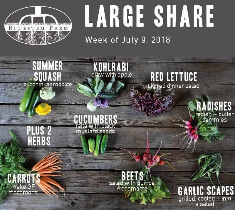 Summer Vegetable Shares: Week 4