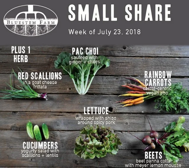 Summer Vegetable Shares: Week 6