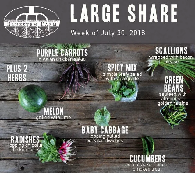 Summer Vegetable Shares: Week 7