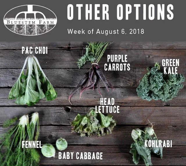 Summer Vegetable Shares: Week 8