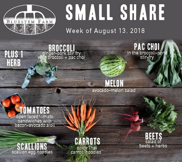 Summer Vegetable Shares: Week 9