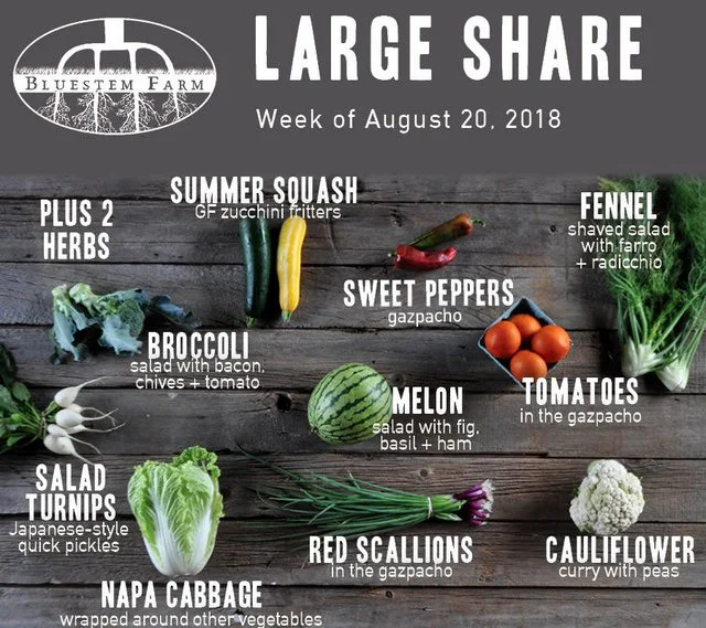 Summer Vegetable Shares: Week 10