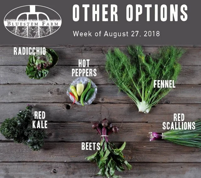 Summer Vegetable Shares: Week 11