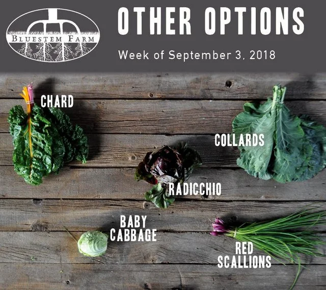 9.3.18 -OTHER.jpg