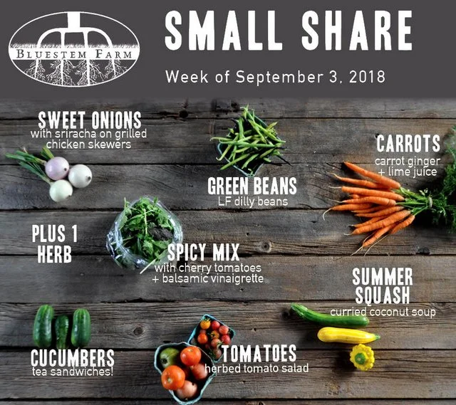 Summer Vegetable Shares: Week 12