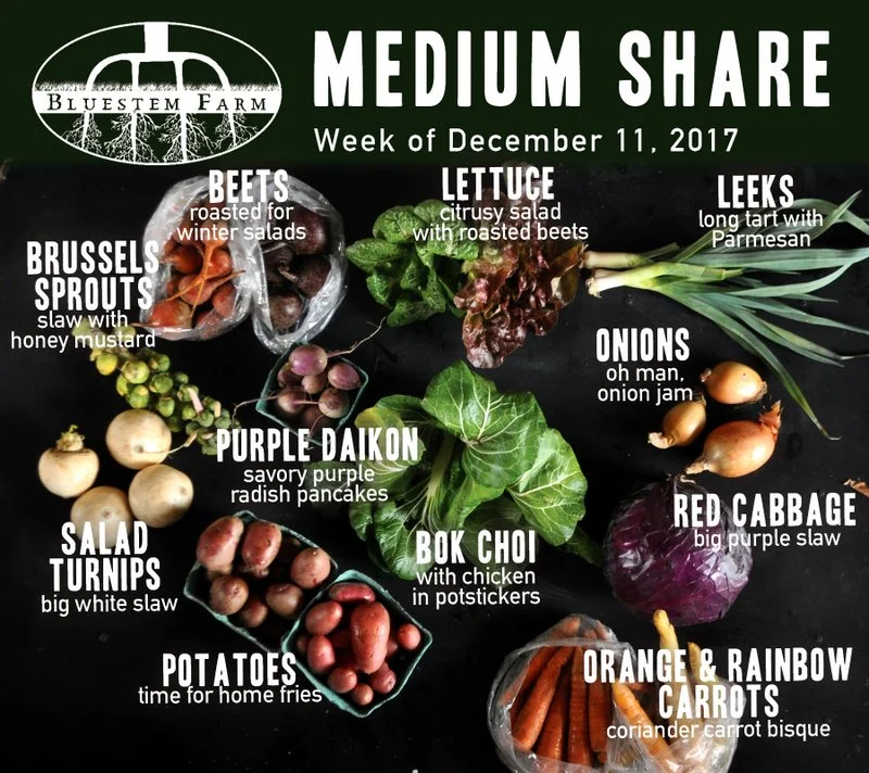 Winter 2017-18 Share Recap