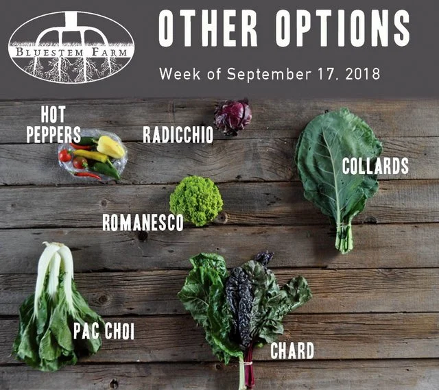 Summer Vegetable Shares: Week 14