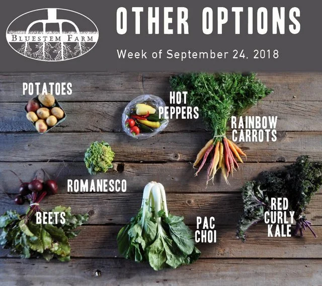 9.24.18 -OTHER.jpg