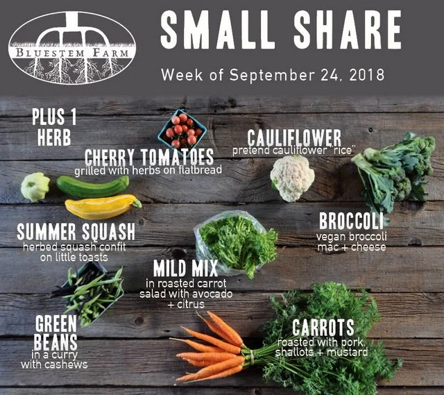 Summer Vegetable Shares: Week 15