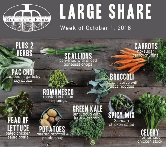 Summer Vegetable Shares: Week 16
