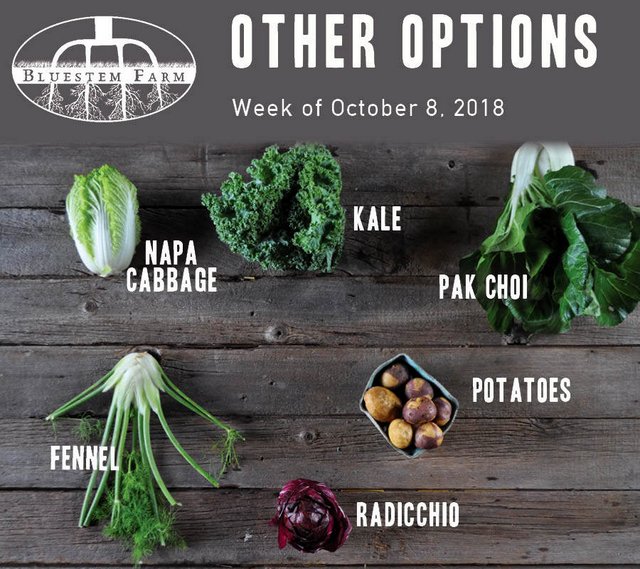 Summer Vegetable Shares: Week 17 of 22 