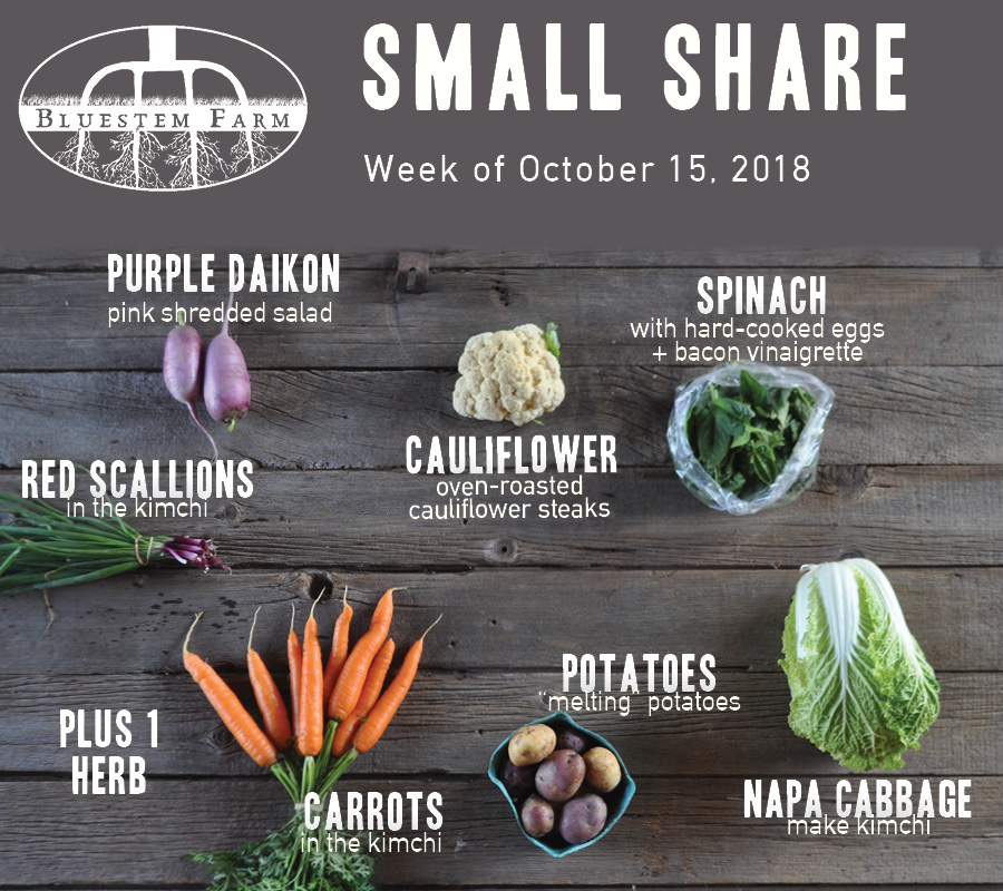 Summer Vegetable Shares: Week 18