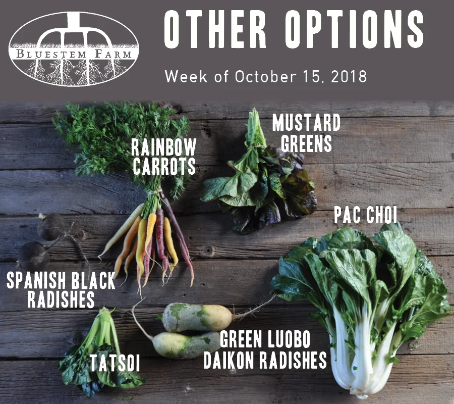10.15.18 -OTHER.jpg