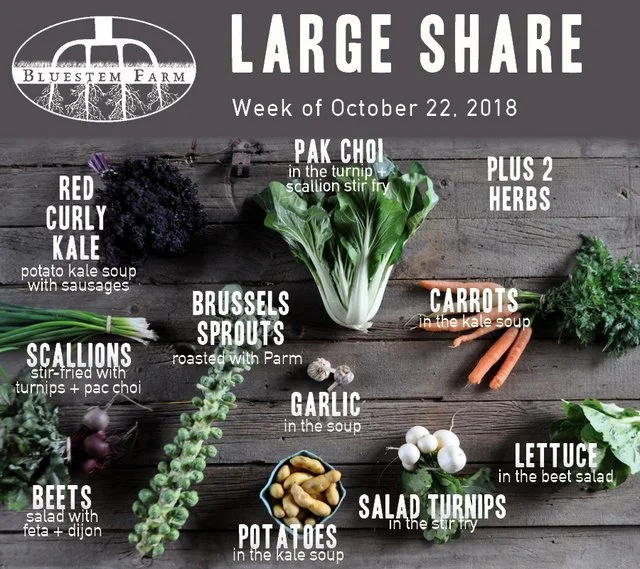 Summer Vegetable Shares: Week 19 of 22