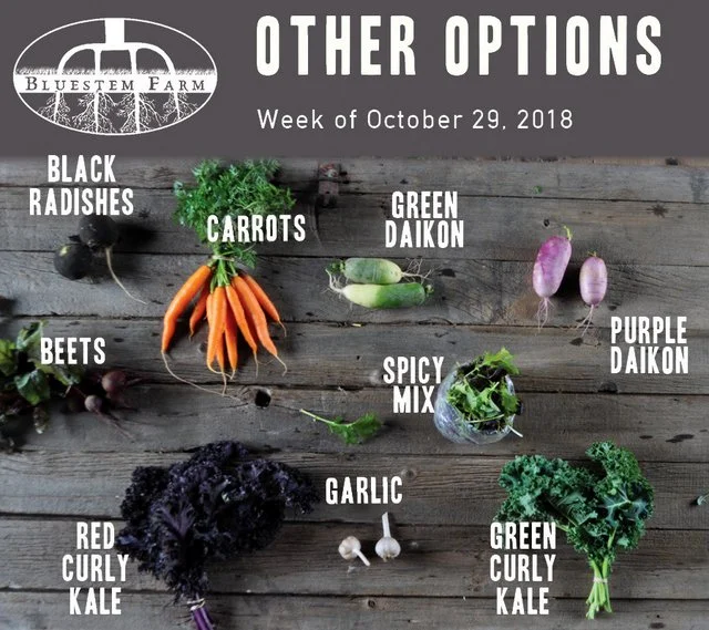 Summer Vegetable Shares: Week 20