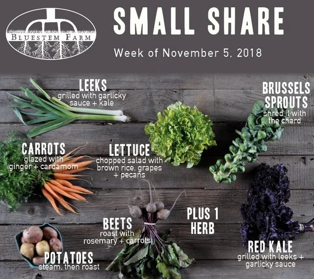 Summer Vegetable Shares: Week 21 of 22