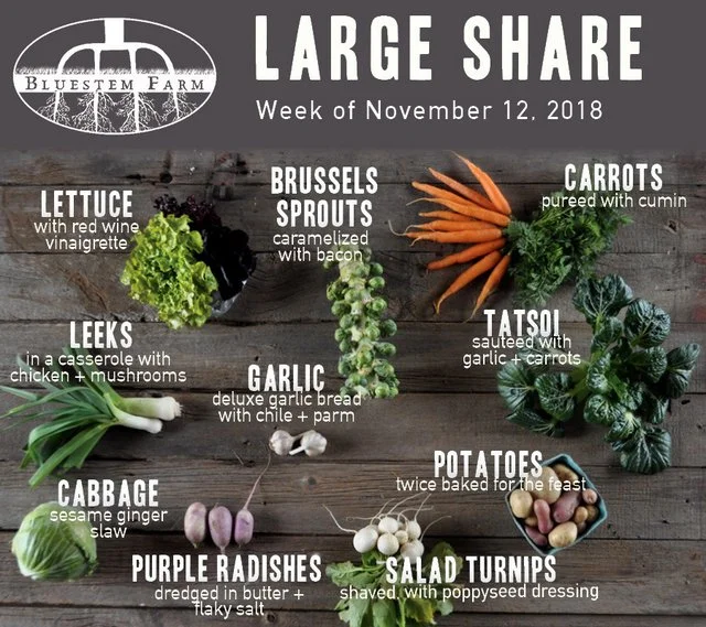 Summer Vegetable Shares: Week 22 of 22