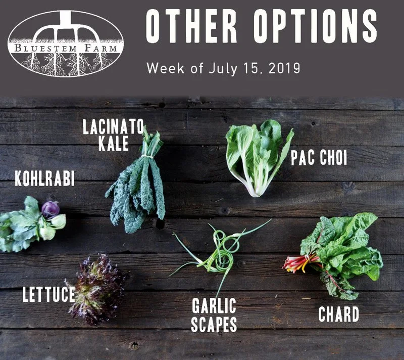 7.15.19 -OTHER.jpg