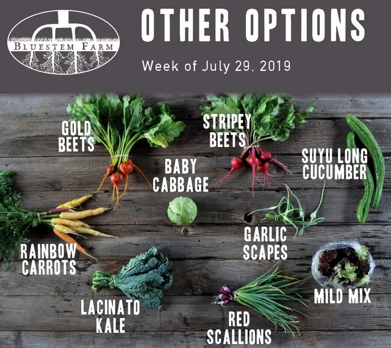7.29.19 -OTHER.jpg