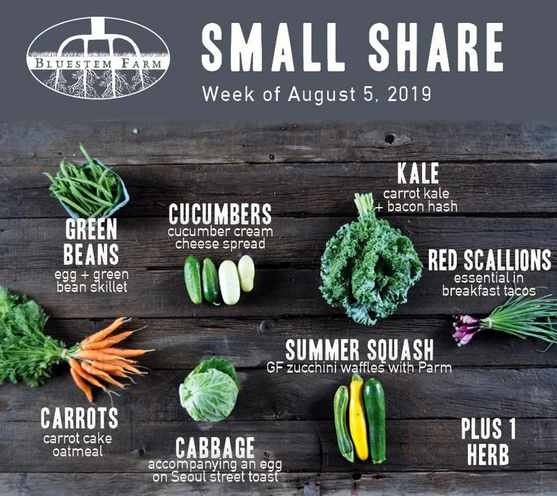 Summer CSA Week 7