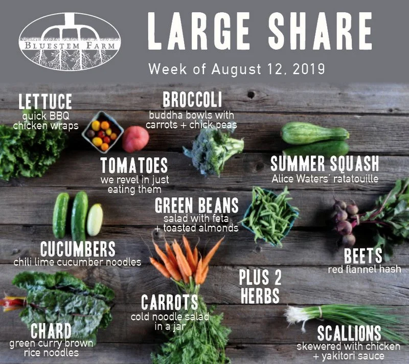 Summer CSA Week 8