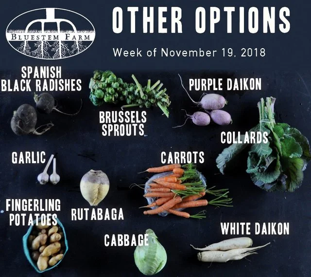 11.19.18 -OTHER.jpg