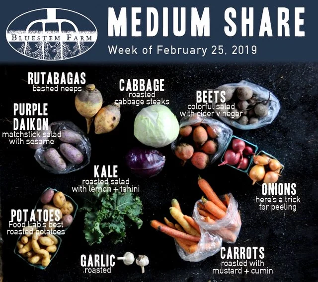2.25.19 -MED.jpg