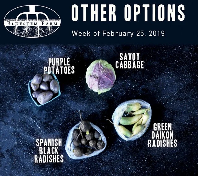 2.25.19 -OTHER.jpg