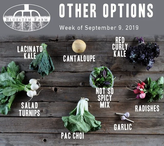 9.9.19 -OTHER.jpg