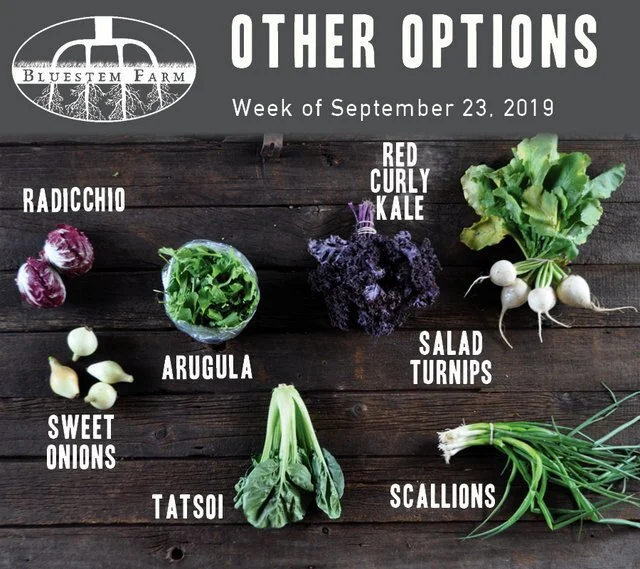 9.23.19 -OTHER.jpg