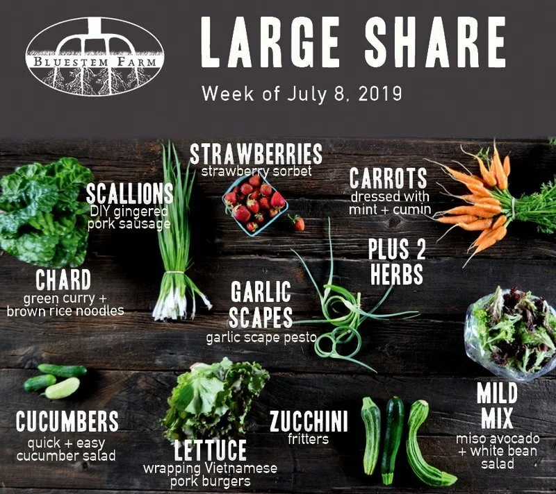 Summer 2019 CSA Share Recap