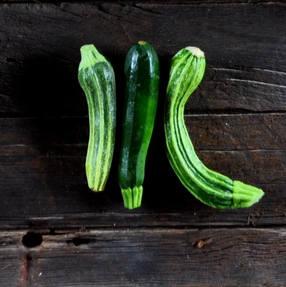 Spotlight: Summer Squash