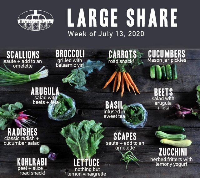 Week 4 CSA
