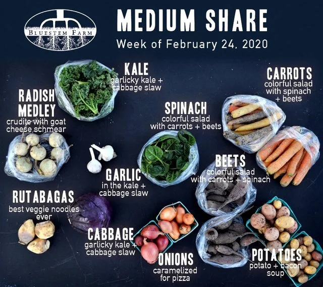 Winter 2020-21 Share Recap