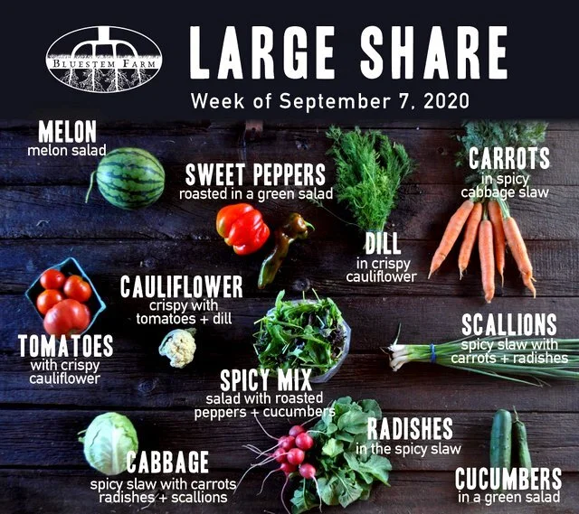 Week 12 CSA