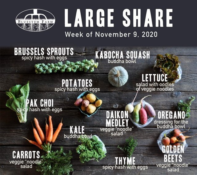 Week 21 CSA