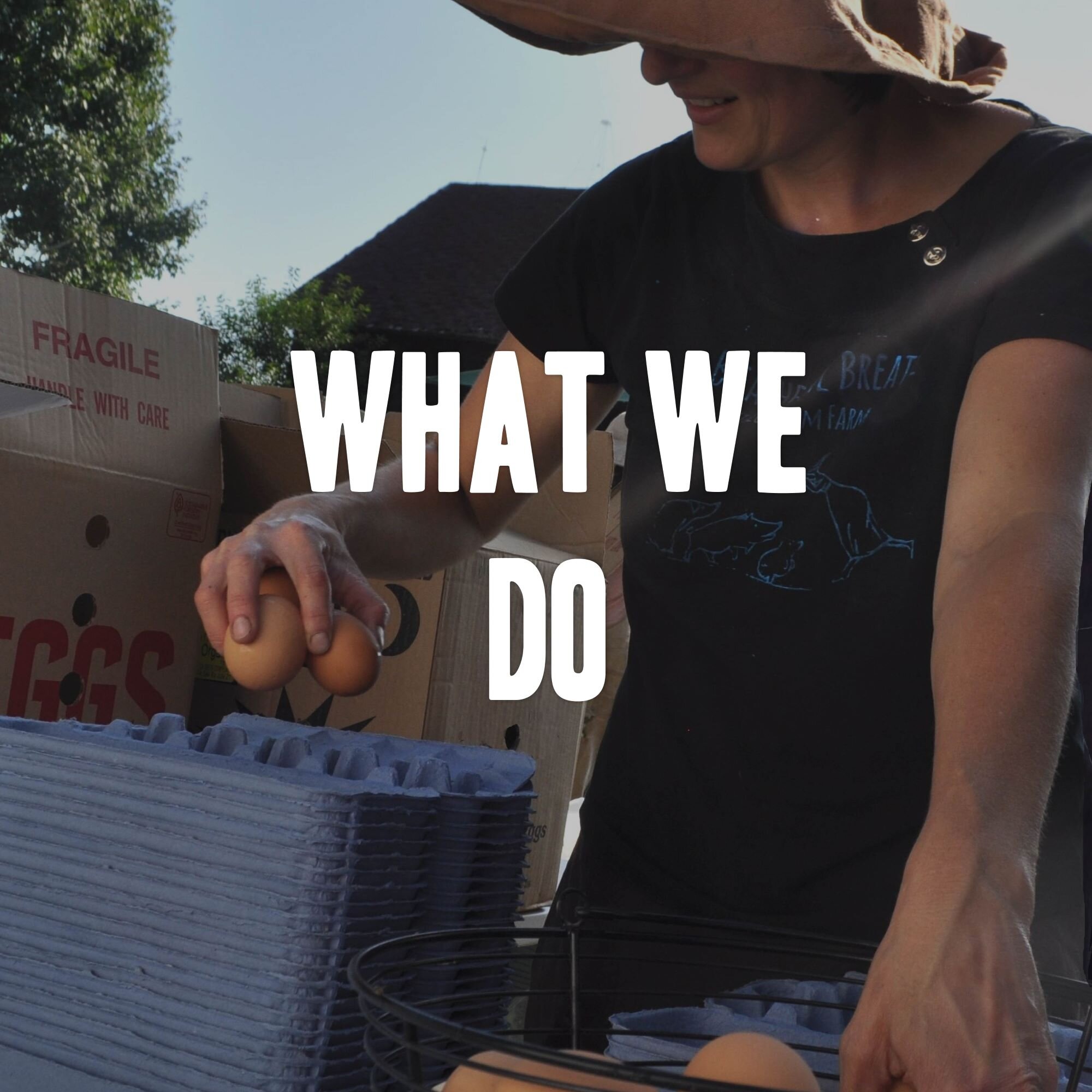 what we do-02.jpg