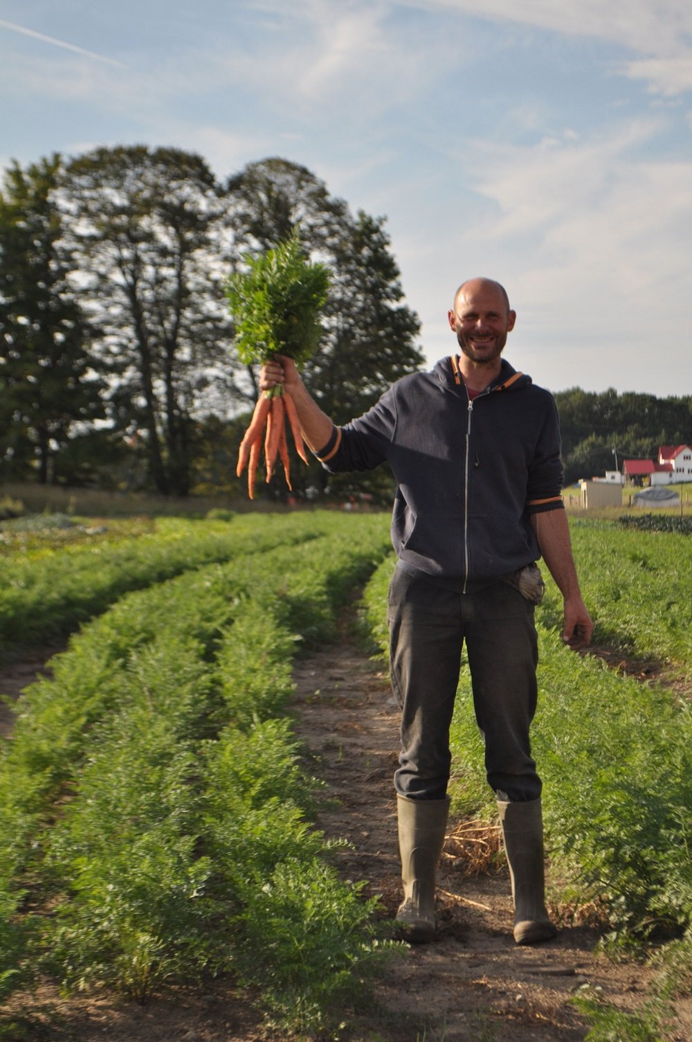 Organic-Carrots-Bluestem-Farm.jpg