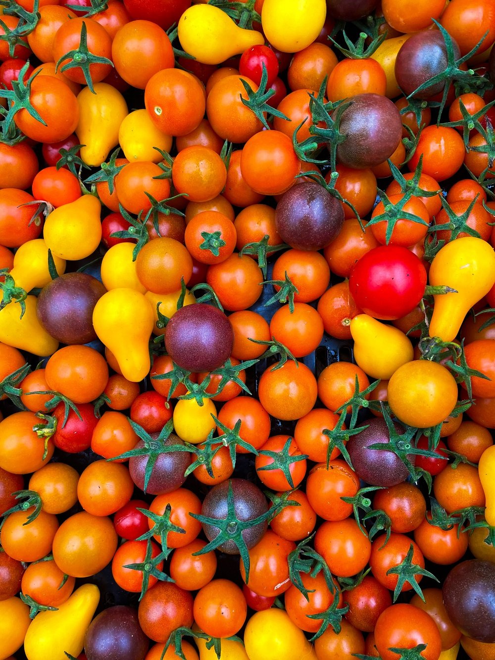 Organic-Cherry-Tomatoes.jpg
